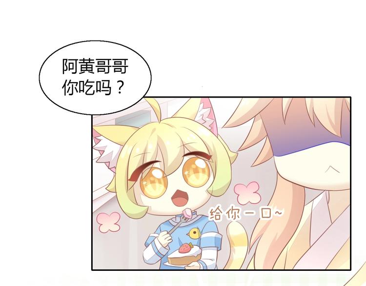 猫爪之下韩漫全集-第127话 猫舍C位（三）无删减无遮挡章节图片 