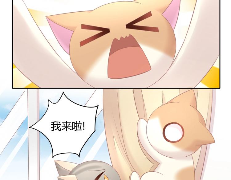猫爪之下韩漫全集-第128话 猫舍C位（四）无删减无遮挡章节图片 