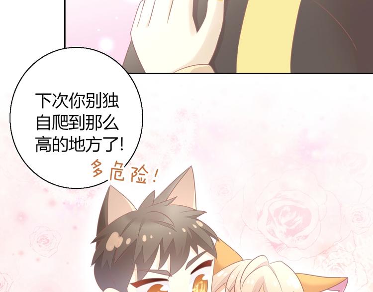 猫爪之下韩漫全集-第128话 猫舍C位（四）无删减无遮挡章节图片 
