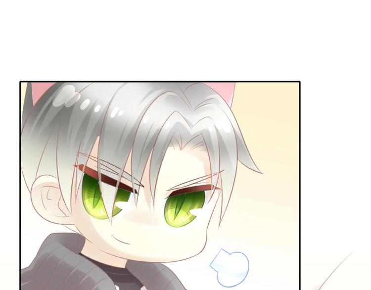 猫爪之下韩漫全集-第128话 猫舍C位（四）无删减无遮挡章节图片 