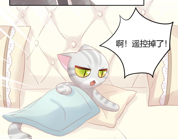 猫爪之下韩漫全集-第128话 猫舍C位（四）无删减无遮挡章节图片 