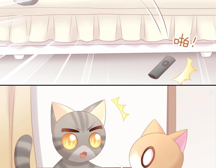 猫爪之下韩漫全集-第128话 猫舍C位（四）无删减无遮挡章节图片 