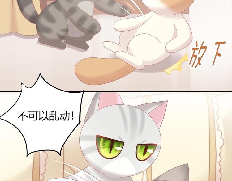 猫爪之下韩漫全集-第128话 猫舍C位（四）无删减无遮挡章节图片 