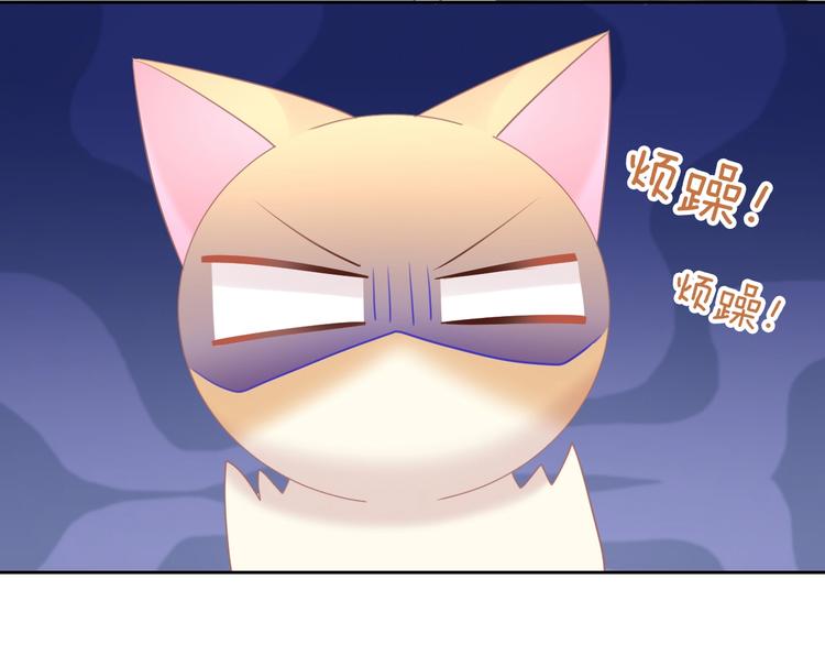 猫爪之下韩漫全集-第128话 猫舍C位（四）无删减无遮挡章节图片 