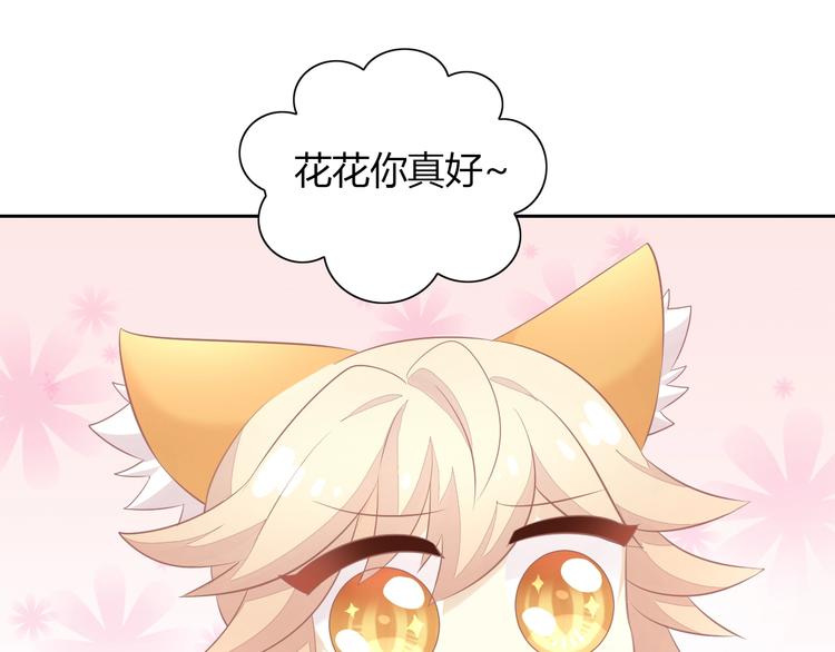猫爪之下韩漫全集-第128话 猫舍C位（四）无删减无遮挡章节图片 