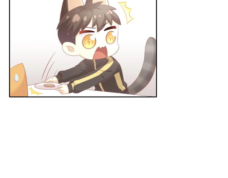 猫爪之下韩漫全集-第128话 猫舍C位（四）无删减无遮挡章节图片 