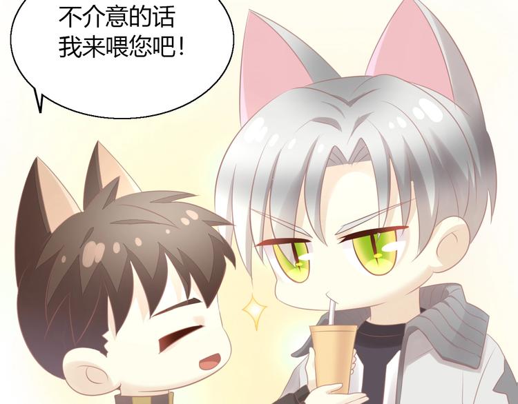 猫爪之下韩漫全集-第128话 猫舍C位（四）无删减无遮挡章节图片 