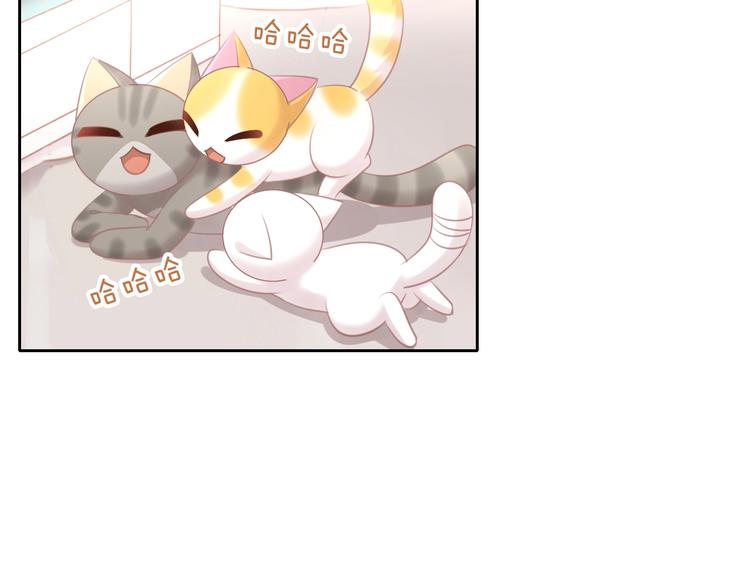 猫爪之下韩漫全集-第128话 猫舍C位（四）无删减无遮挡章节图片 