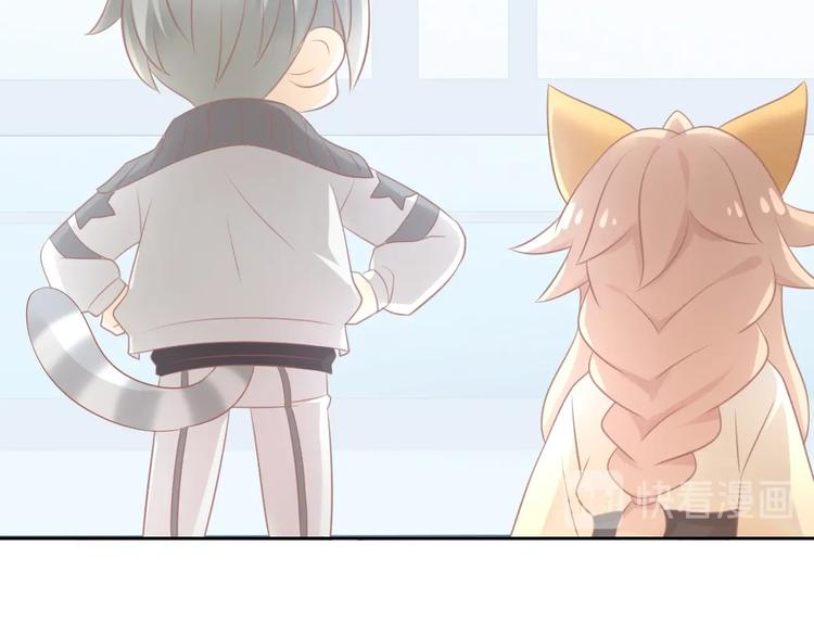 猫爪之下韩漫全集-第128话 猫舍C位（四）无删减无遮挡章节图片 