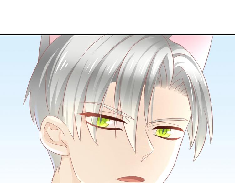 猫爪之下韩漫全集-第128话 猫舍C位（四）无删减无遮挡章节图片 