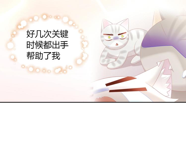 猫爪之下韩漫全集-第128话 猫舍C位（四）无删减无遮挡章节图片 