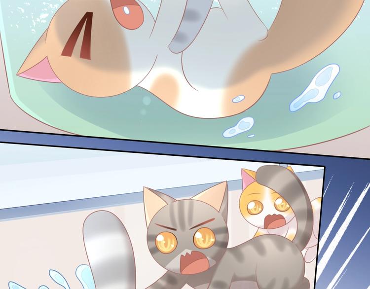 猫爪之下韩漫全集-第128话 猫舍C位（四）无删减无遮挡章节图片 