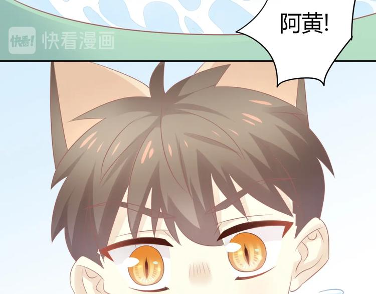 猫爪之下韩漫全集-第128话 猫舍C位（四）无删减无遮挡章节图片 