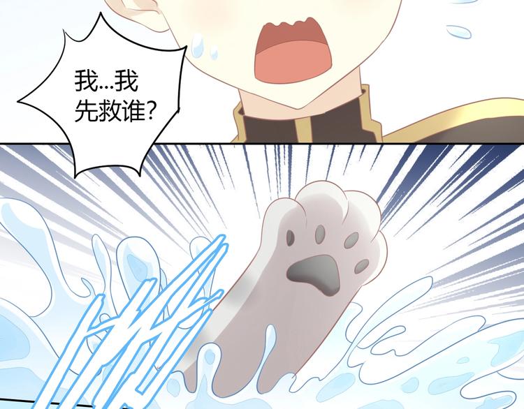 猫爪之下韩漫全集-第128话 猫舍C位（四）无删减无遮挡章节图片 