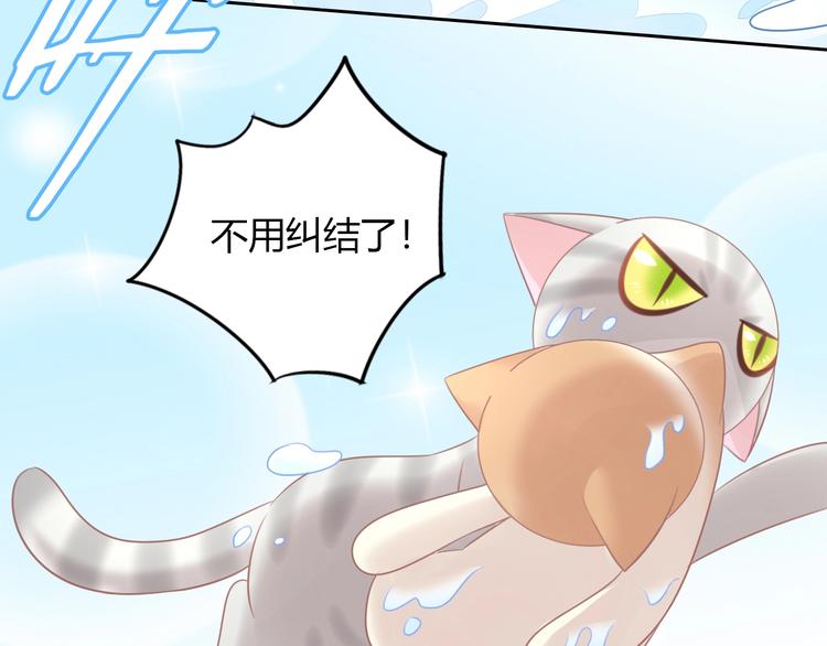 猫爪之下韩漫全集-第128话 猫舍C位（四）无删减无遮挡章节图片 
