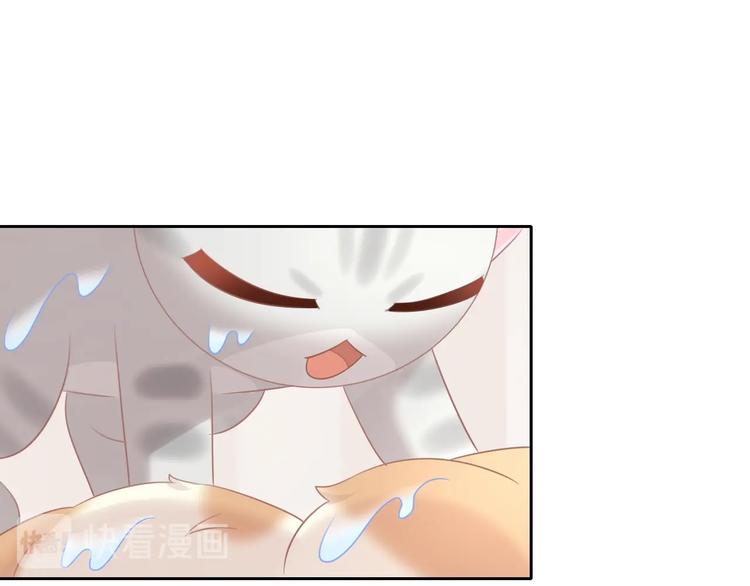 猫爪之下韩漫全集-第128话 猫舍C位（四）无删减无遮挡章节图片 