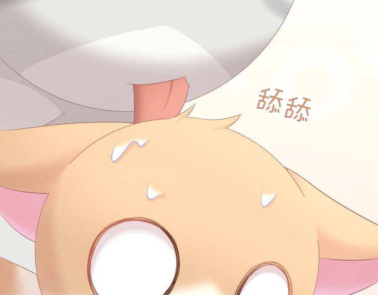 猫爪之下韩漫全集-第128话 猫舍C位（四）无删减无遮挡章节图片 