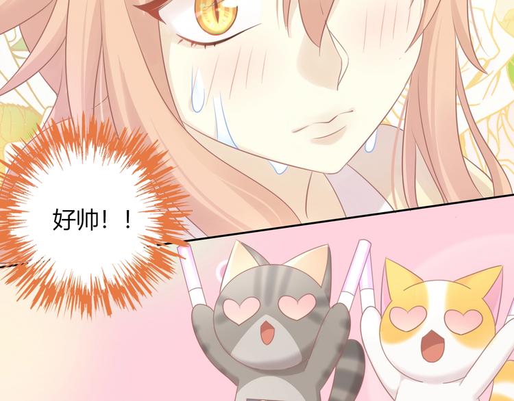 猫爪之下韩漫全集-第128话 猫舍C位（四）无删减无遮挡章节图片 