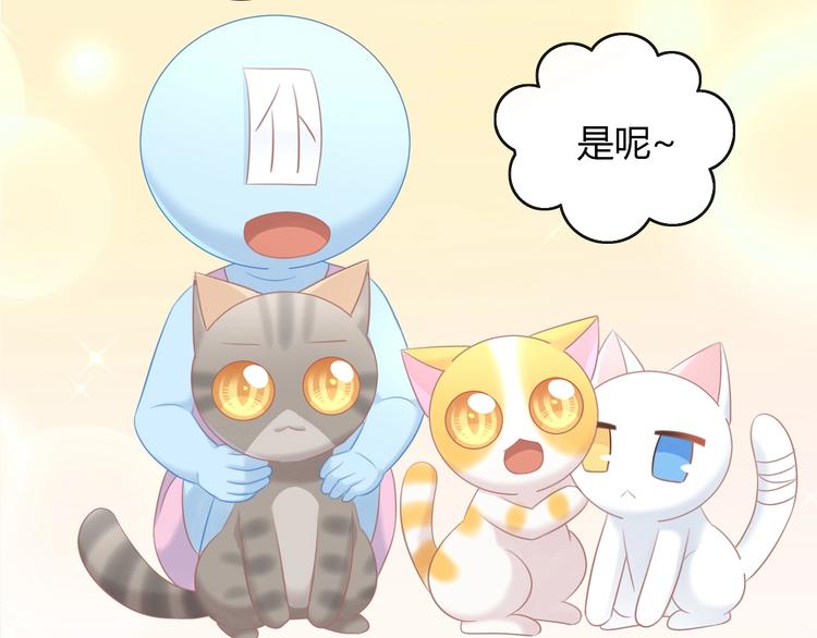 猫爪之下韩漫全集-第128话 猫舍C位（四）无删减无遮挡章节图片 