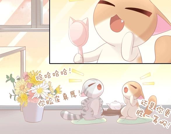 猫爪之下韩漫全集-第128话 猫舍C位（四）无删减无遮挡章节图片 