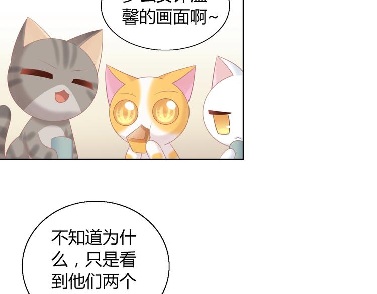 猫爪之下韩漫全集-第129话 猫舍C位（五）无删减无遮挡章节图片 