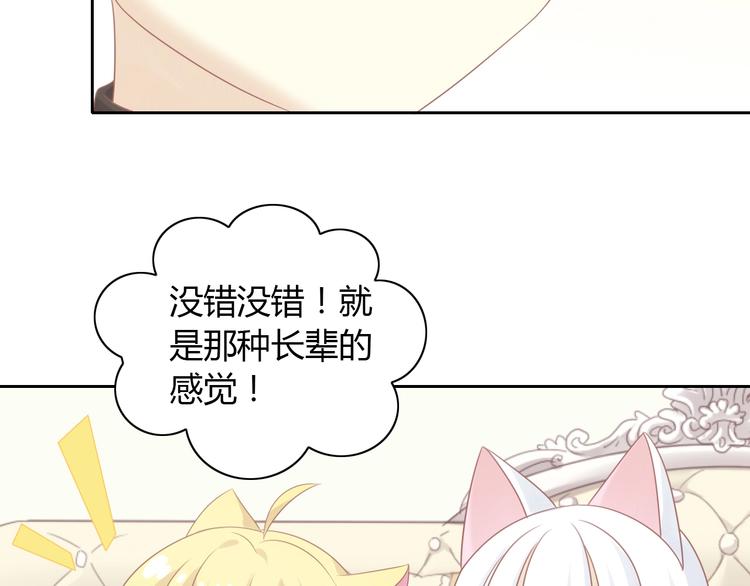 猫爪之下韩漫全集-第129话 猫舍C位（五）无删减无遮挡章节图片 