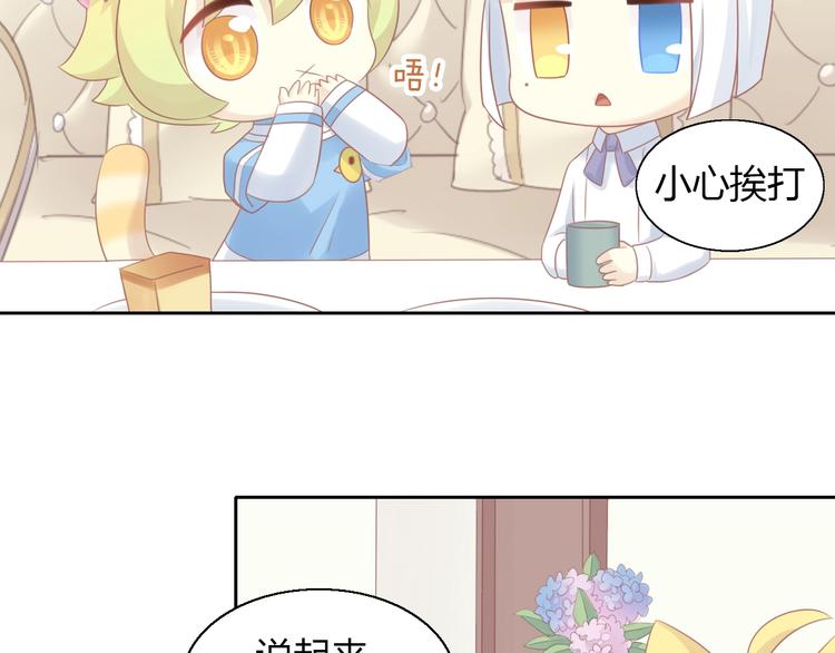 猫爪之下韩漫全集-第129话 猫舍C位（五）无删减无遮挡章节图片 