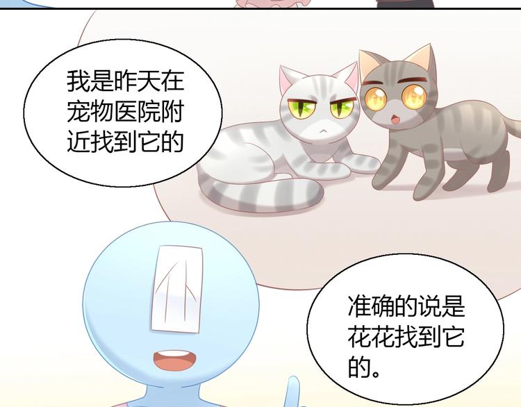 猫爪之下韩漫全集-第129话 猫舍C位（五）无删减无遮挡章节图片 