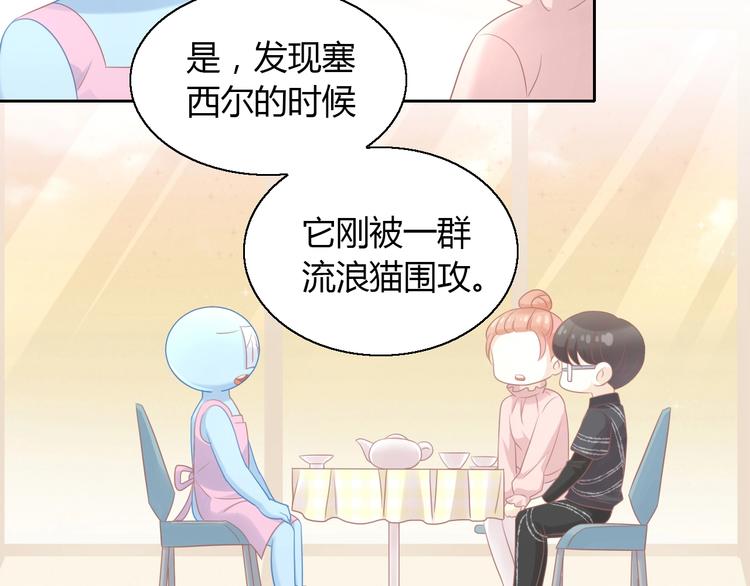 猫爪之下韩漫全集-第129话 猫舍C位（五）无删减无遮挡章节图片 