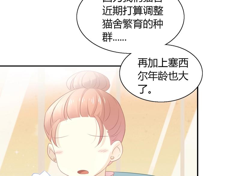 猫爪之下韩漫全集-第129话 猫舍C位（五）无删减无遮挡章节图片 