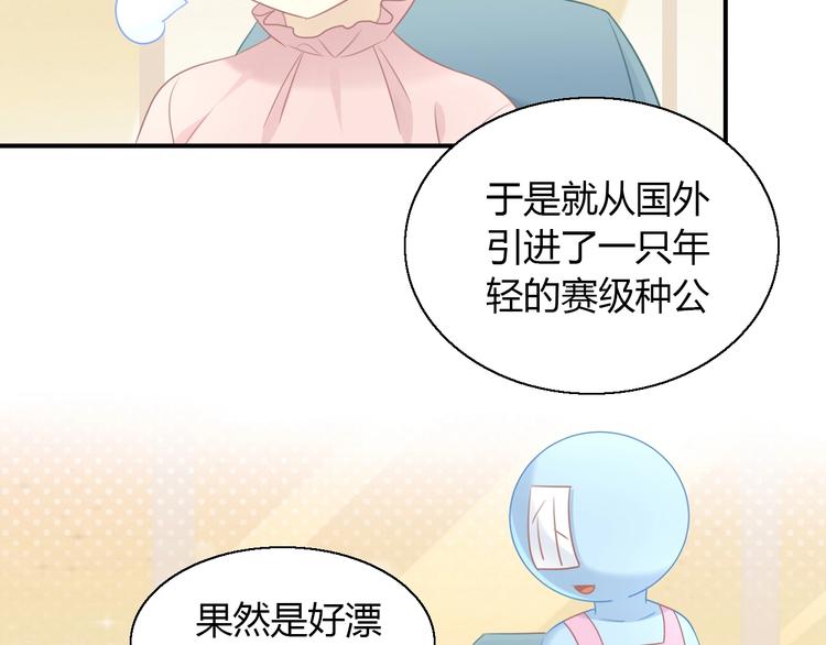 猫爪之下韩漫全集-第129话 猫舍C位（五）无删减无遮挡章节图片 