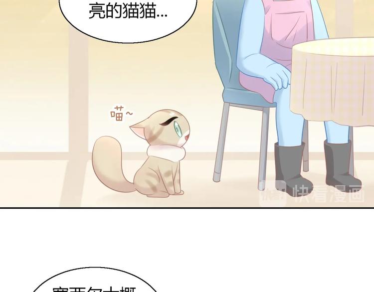 猫爪之下韩漫全集-第129话 猫舍C位（五）无删减无遮挡章节图片 