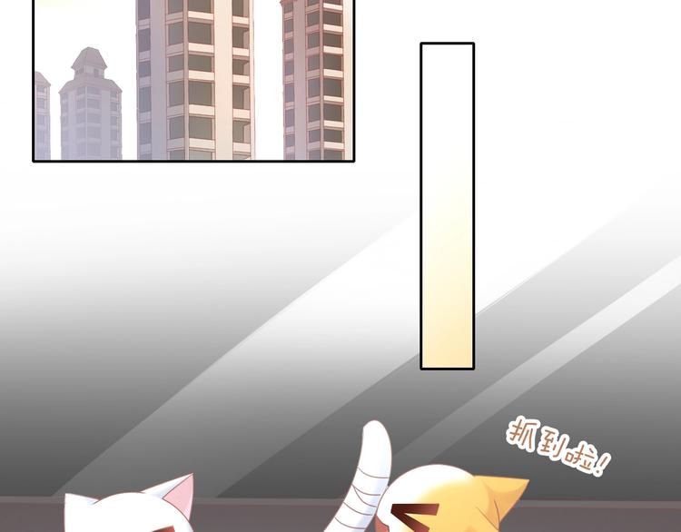 猫爪之下韩漫全集-第129话 猫舍C位（五）无删减无遮挡章节图片 