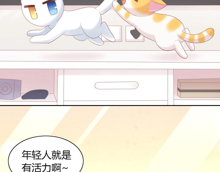 猫爪之下韩漫全集-第129话 猫舍C位（五）无删减无遮挡章节图片 