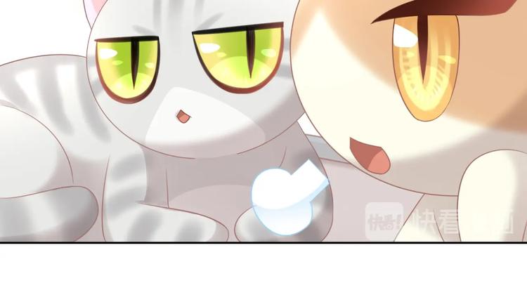 猫爪之下韩漫全集-第129话 猫舍C位（五）无删减无遮挡章节图片 