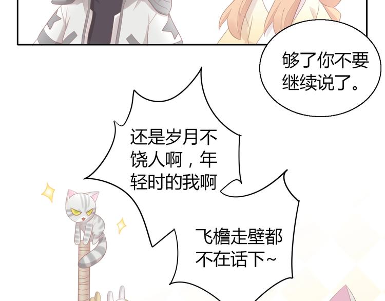 猫爪之下韩漫全集-第129话 猫舍C位（五）无删减无遮挡章节图片 