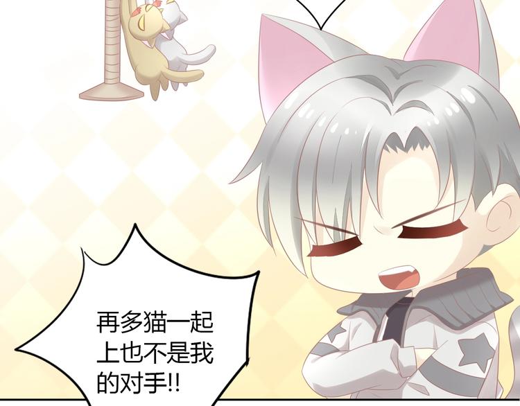 猫爪之下韩漫全集-第129话 猫舍C位（五）无删减无遮挡章节图片 