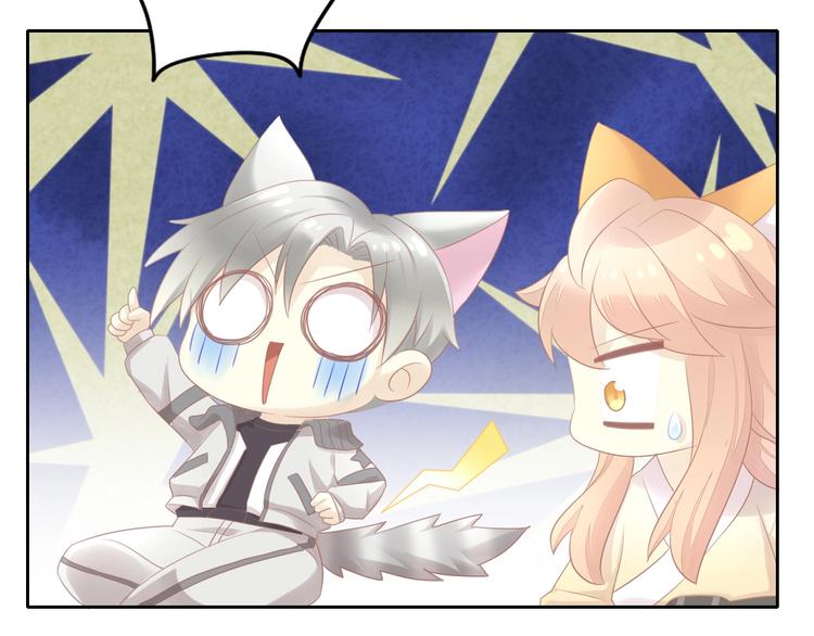 猫爪之下韩漫全集-第129话 猫舍C位（五）无删减无遮挡章节图片 