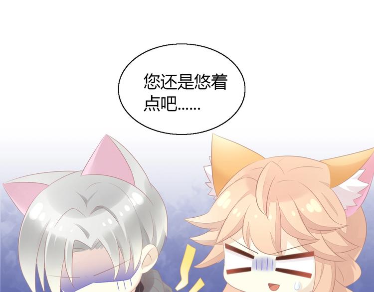 猫爪之下韩漫全集-第129话 猫舍C位（五）无删减无遮挡章节图片 