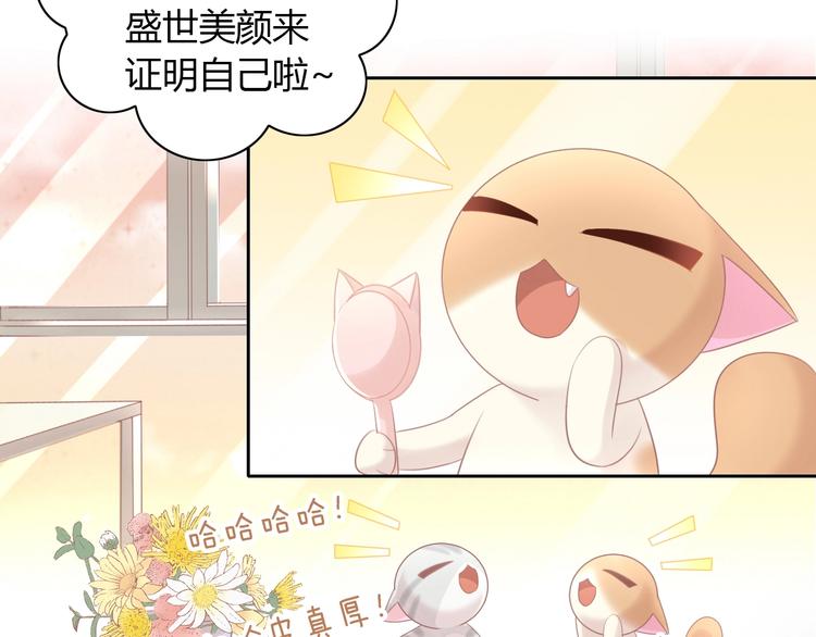 猫爪之下韩漫全集-第129话 猫舍C位（五）无删减无遮挡章节图片 
