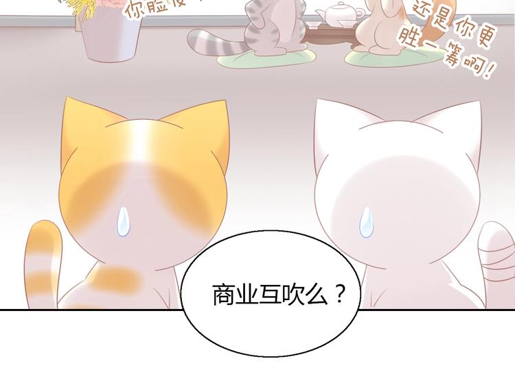 猫爪之下韩漫全集-第129话 猫舍C位（五）无删减无遮挡章节图片 