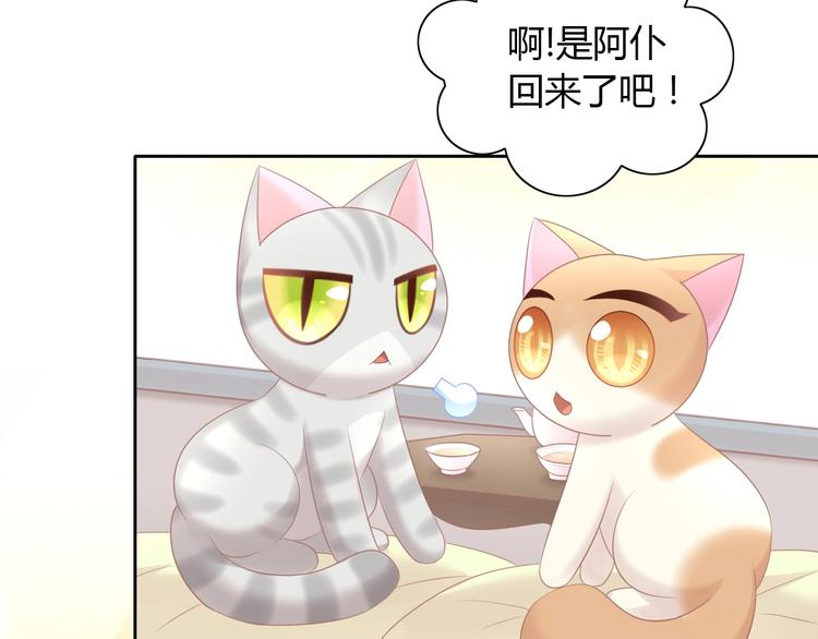 猫爪之下韩漫全集-第129话 猫舍C位（五）无删减无遮挡章节图片 