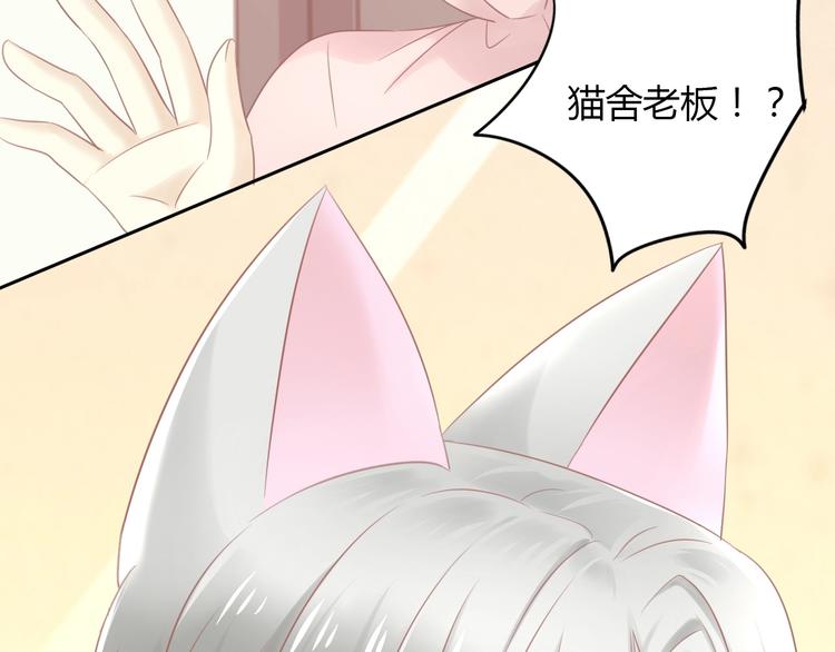 猫爪之下韩漫全集-第129话 猫舍C位（五）无删减无遮挡章节图片 