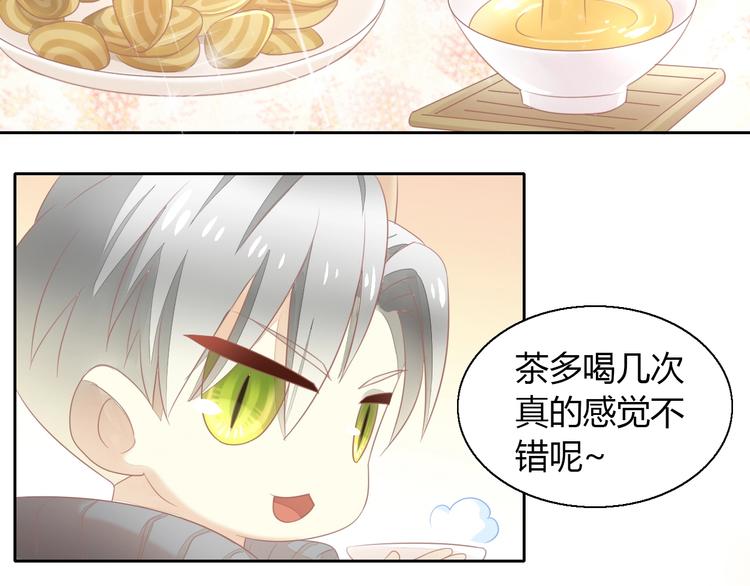 猫爪之下韩漫全集-第129话 猫舍C位（五）无删减无遮挡章节图片 