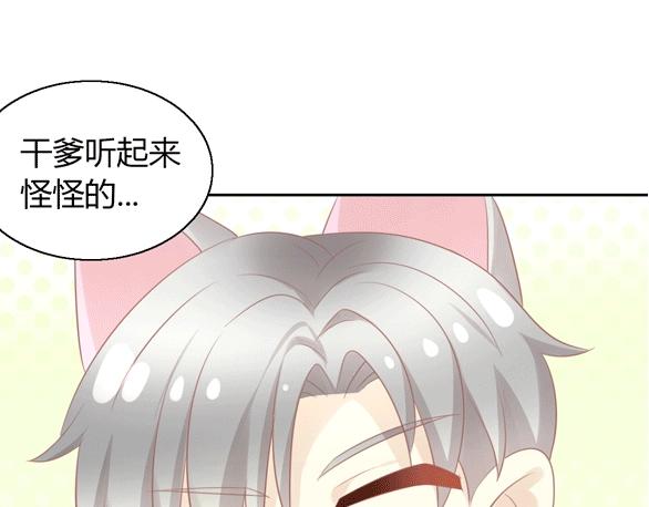 猫爪之下韩漫全集-第129话 猫舍C位（五）无删减无遮挡章节图片 