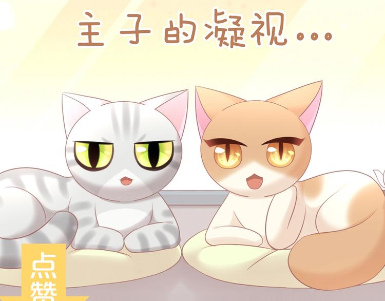猫爪之下韩漫全集-第129话 猫舍C位（五）无删减无遮挡章节图片 