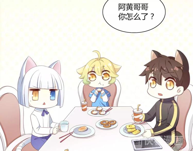 猫爪之下韩漫全集-第14话  萌宠失踪无删减无遮挡章节图片 