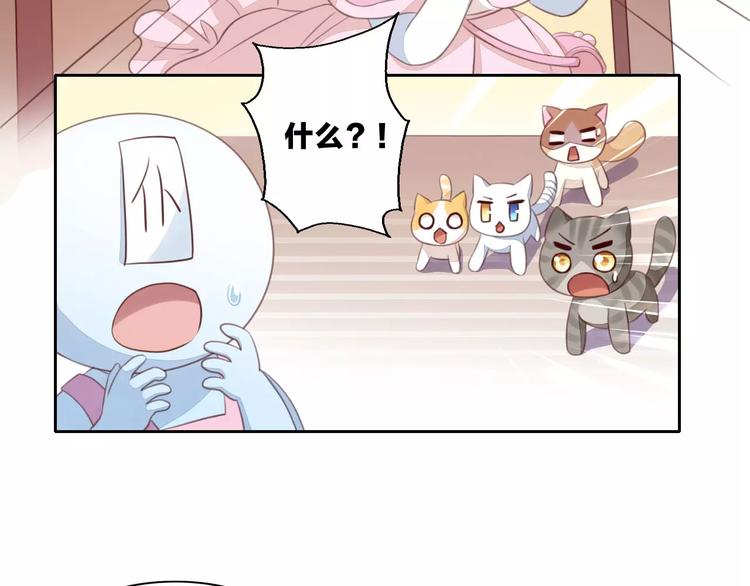 猫爪之下韩漫全集-第14话  萌宠失踪无删减无遮挡章节图片 
