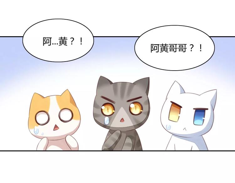 猫爪之下韩漫全集-第14话  萌宠失踪无删减无遮挡章节图片 