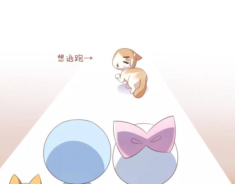 猫爪之下韩漫全集-第14话  萌宠失踪无删减无遮挡章节图片 